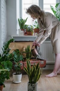 DIY vertical gardening 