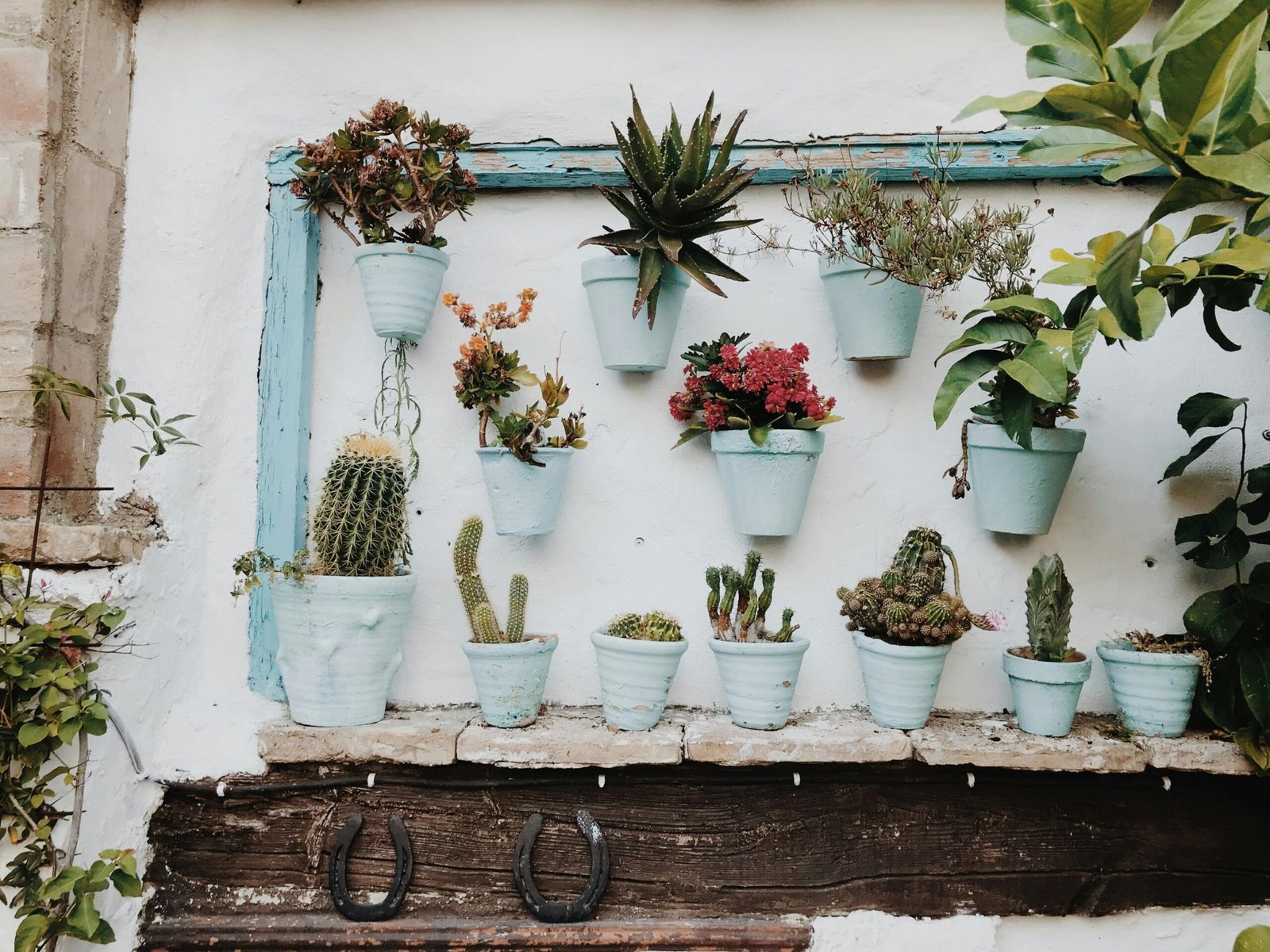 DIY vertical gardening