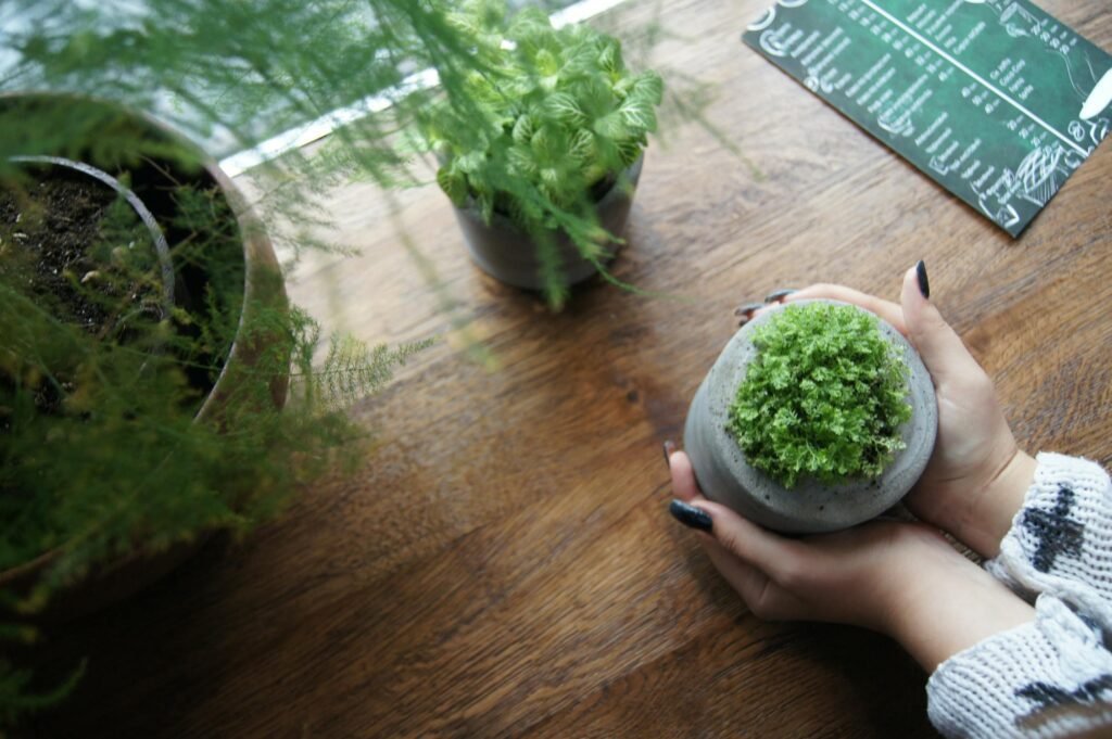 The Ultimate Guide to Indoor Herb Gardening: Tips and Tricks for Year-Round Freshness